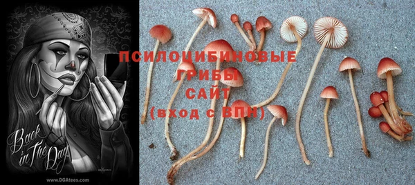 мет Володарск
